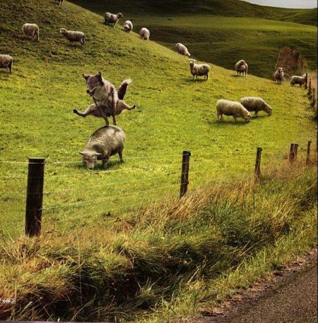 i love this but i eat you